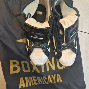 미즈노복싱화 255 이미지