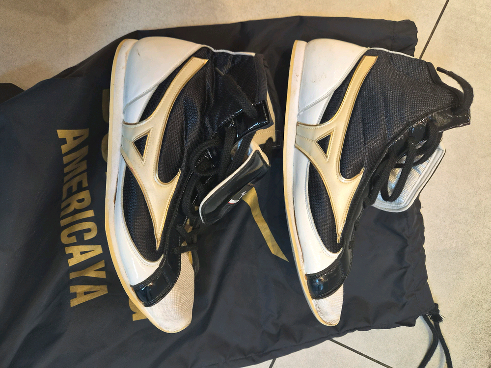 미즈노복싱화 255 이미지