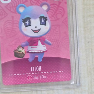 미애 아미보카드 동물의 숲 이미지