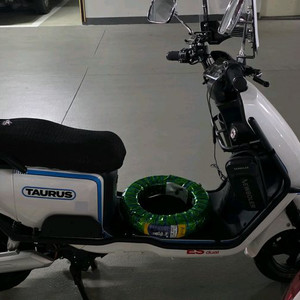 타우러스 es듀얼 배터리2개 흰색 이미지