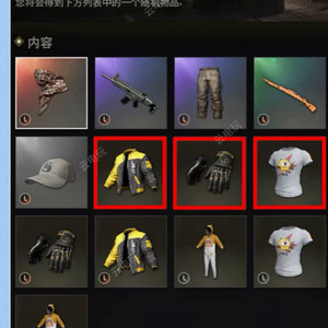 배그 후야장갑,자켓 상자 스킨코드 이미지