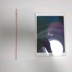 애플 아이패드 8세대 셀룰러 이미지