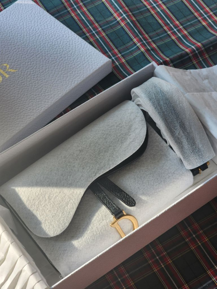 디올 Dior 미니 새들 가방 파우치 스트랩 정품 이미지