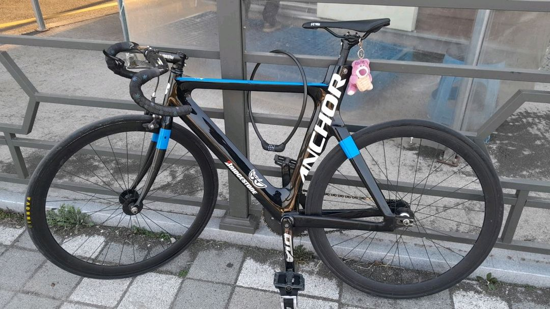 앙카 브릿지스톤 풀카본 트랙차 픽시 자전거 이미지