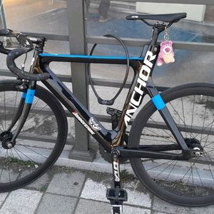 앙카 브릿지스톤 풀카본 트랙차 픽시 자전거 이미지