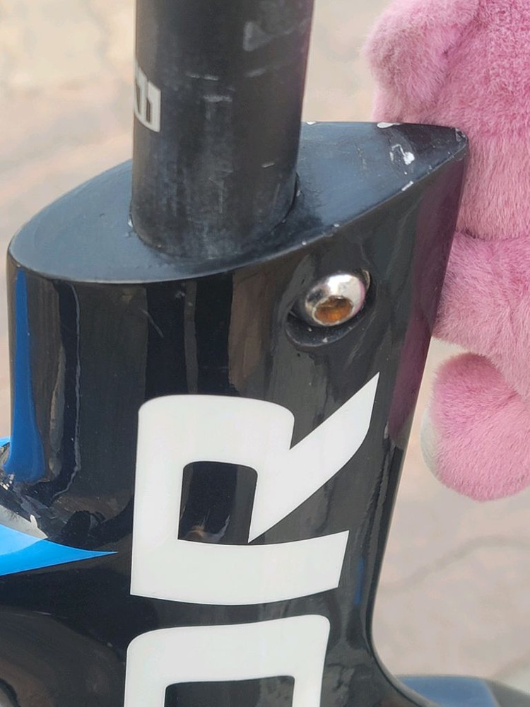 앙카 브릿지스톤 풀카본 트랙차 픽시 자전거 이미지