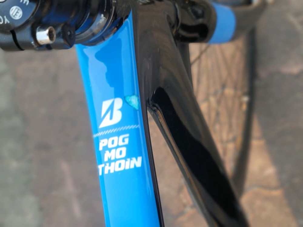 앙카 브릿지스톤 풀카본 트랙차 픽시 자전거 이미지