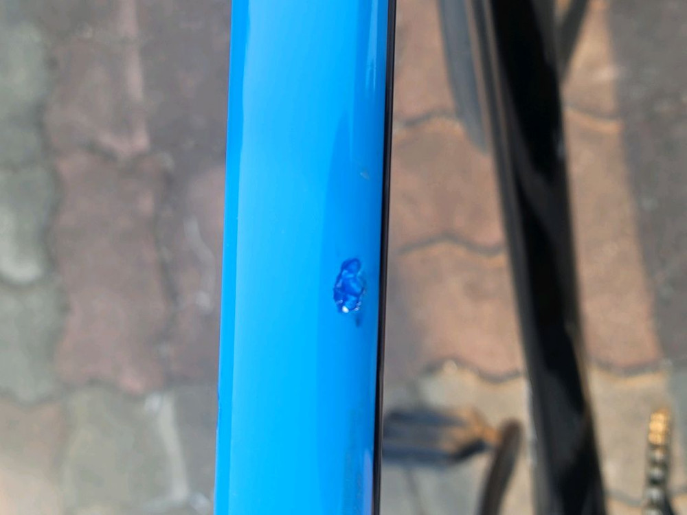 앙카 브릿지스톤 풀카본 트랙차 픽시 자전거 이미지