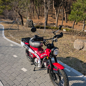 헌터커브CT125 125cc 오토바이 이미지