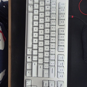 리얼포스 R4 45g (TKL)-R4HD21 판매합니다 [2시간미만] 이미지