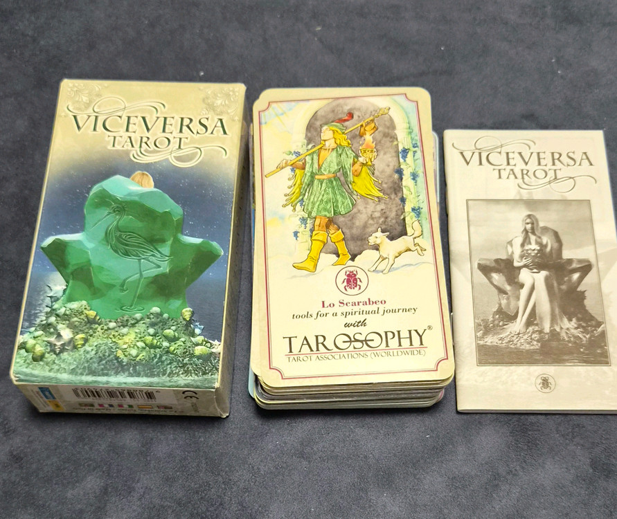 바이스버사(VICEVERSA) 타로카드 이미지