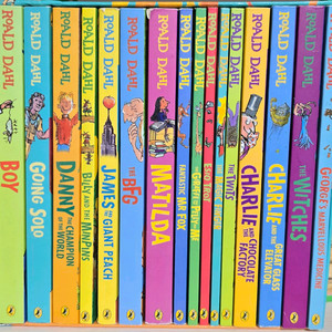 로얄드달 원서 16권 세트 이미지