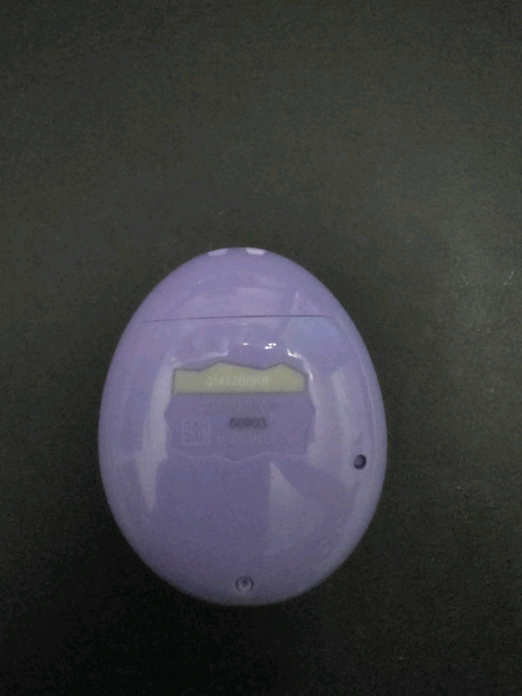 다마고치 미츠, 썸 일괄 이미지