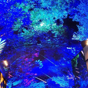 인스파이어 숙박권 이미지