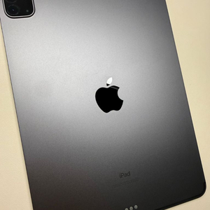 아이패드 프로 4세대 셀룰러 스페이스 그레이 이미지