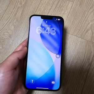 아이폰 13 promax 1tb 이미지