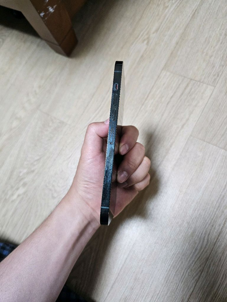 아이폰 13 promax 1tb 이미지