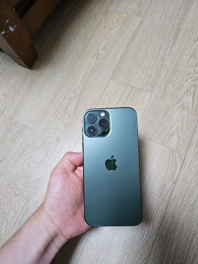 아이폰 13 promax 1tb 이미지