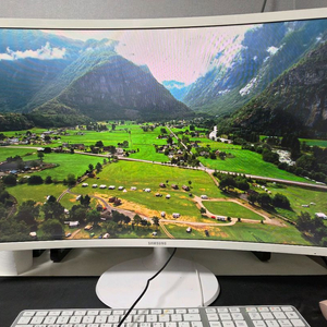 삼성 커브드 32인치 모니터 c32f391fwk 이미지