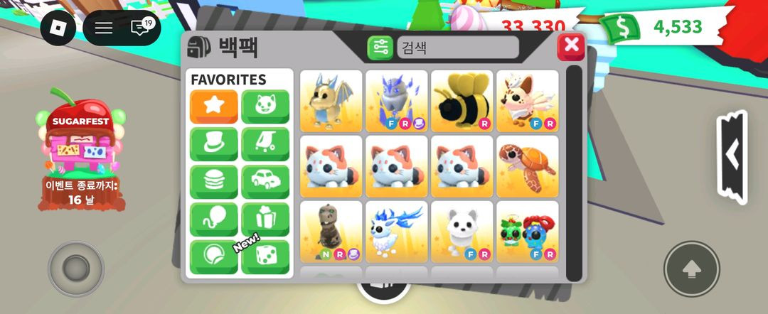 입양하세요펫팔아여 이미지