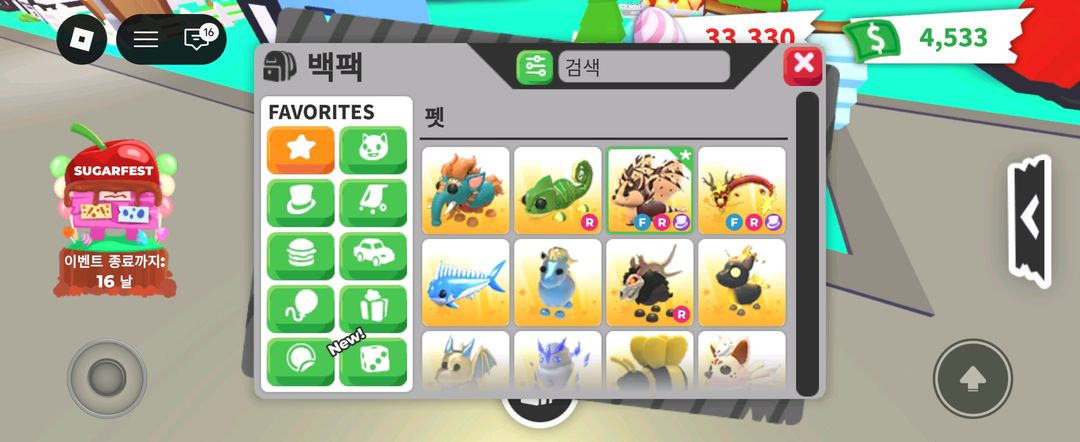 입양하세요펫팔아여 이미지