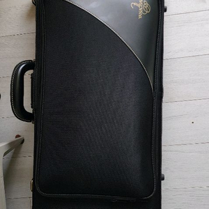 야나기사와 알토 색소폰 이미지