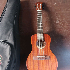 우쿠렐레 RIHO 케이스 포함 초급자용 우쿨렐레 이미지