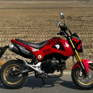 혼다MSX125/14년식/2만키로/120만원 이미지