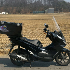 혼다PCX125/20년식/6만키로/125만원 이미지