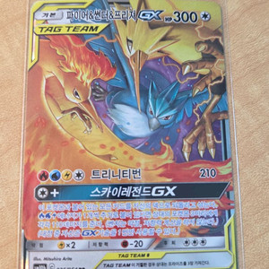 포켓몬카드 GX 태그팀 파이어 썬더 프리져 RR 이미지