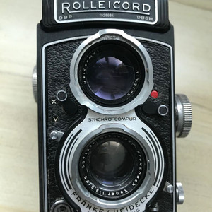 롤라이코드 va 이미지