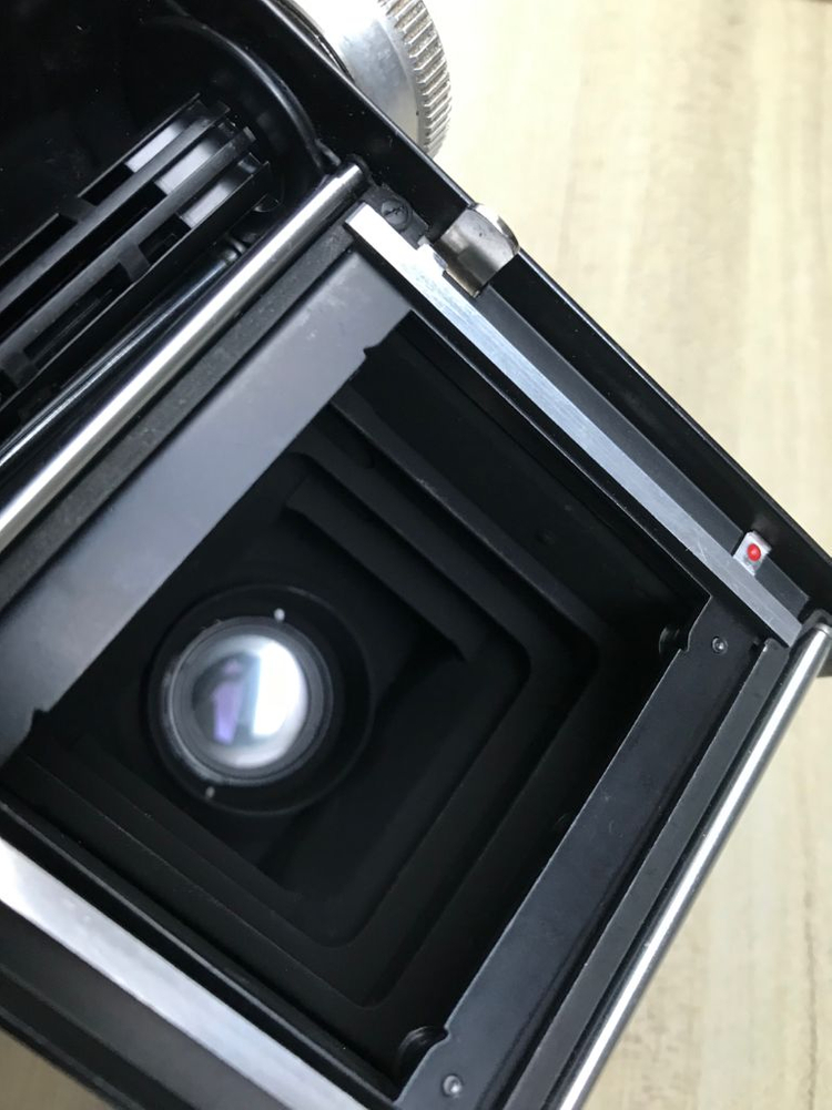 롤라이코드 va 이미지