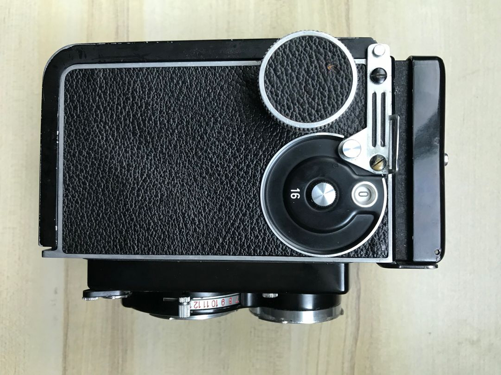 롤라이코드 va 이미지