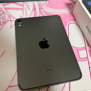 아이패드 미니6 256기가 셀룰러 이미지