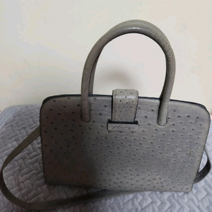 호미가 오스트리지백 이미지