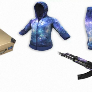 배그 스킨 코드 xinghun 싱훈 이미지