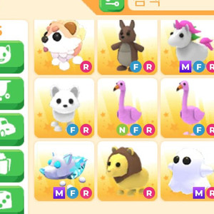 입양하세요 펫 팔아요 가격제시 이미지