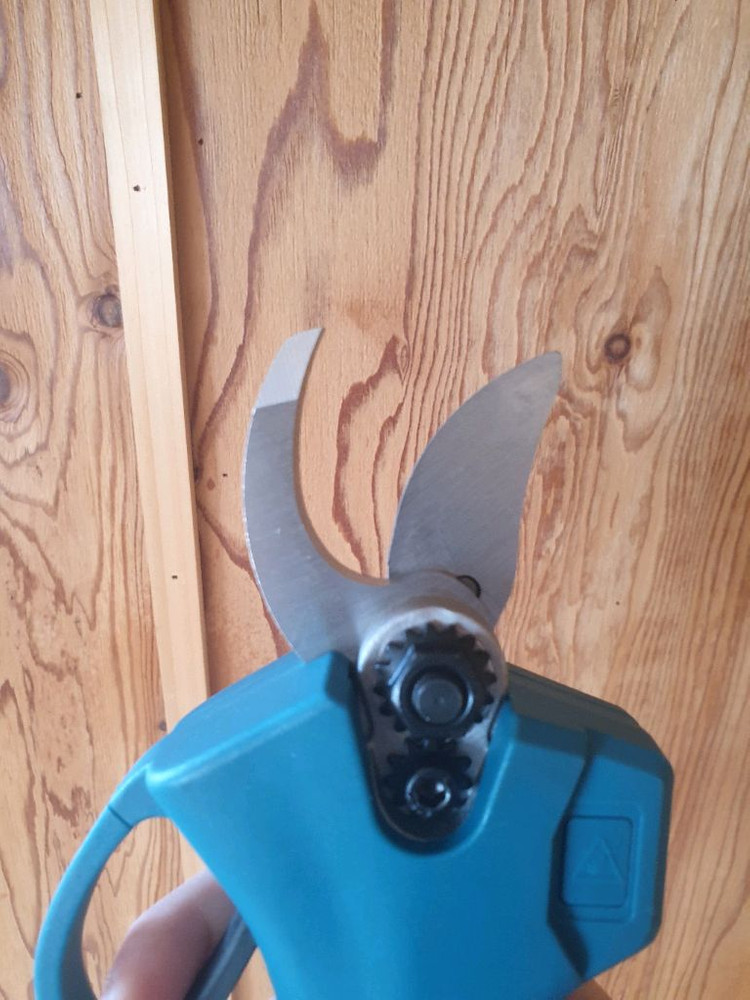 전동 가위 이미지