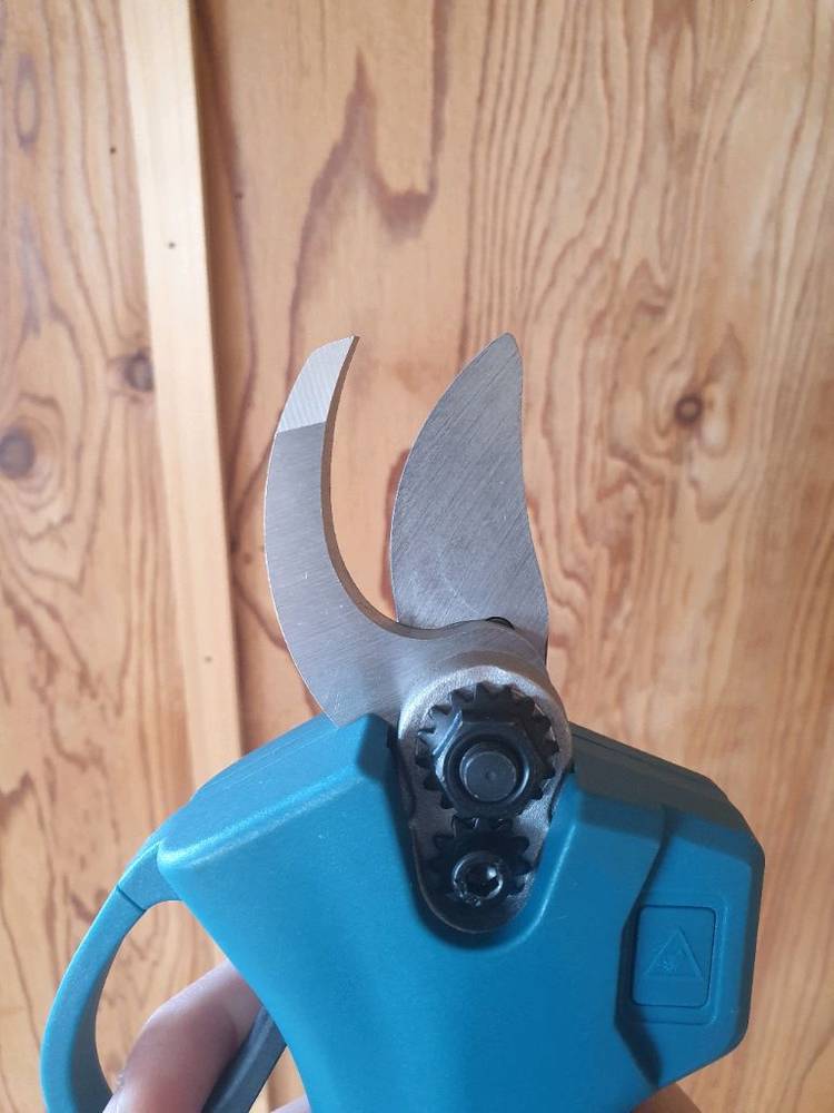 전동 가위 이미지