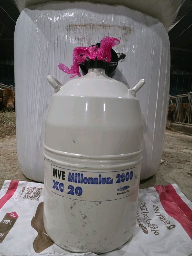MVE 질소통 20L 이미지