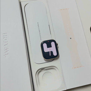 애플워치10티타늄 46mm 골드 SS급 이미지