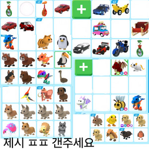 입양하세요 펫, 자동차 선제시로 보냅니다 이미지