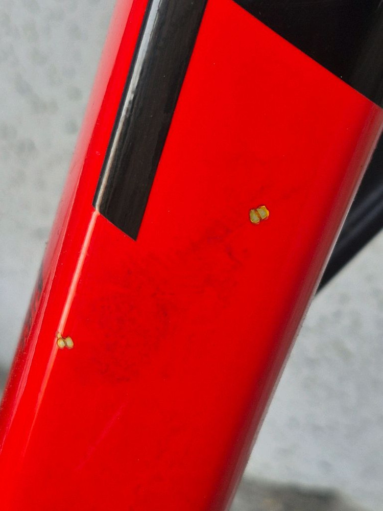 트렉마린 7 2세대 판매합니다 대차는(mtb,더트점프만) 합니다 (추금 55까지 가능합니다) 이미지