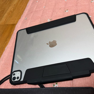 아이패드 M5 13인치 2테라 셀룰러 이미지