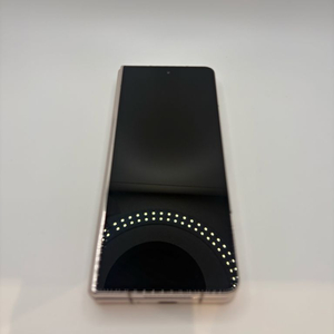 갤럭시 폴드4 256GB 이미지