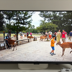 s32dg700 삼성 오디세이 4k uhd 144hz 게이밍 모니터 이미지