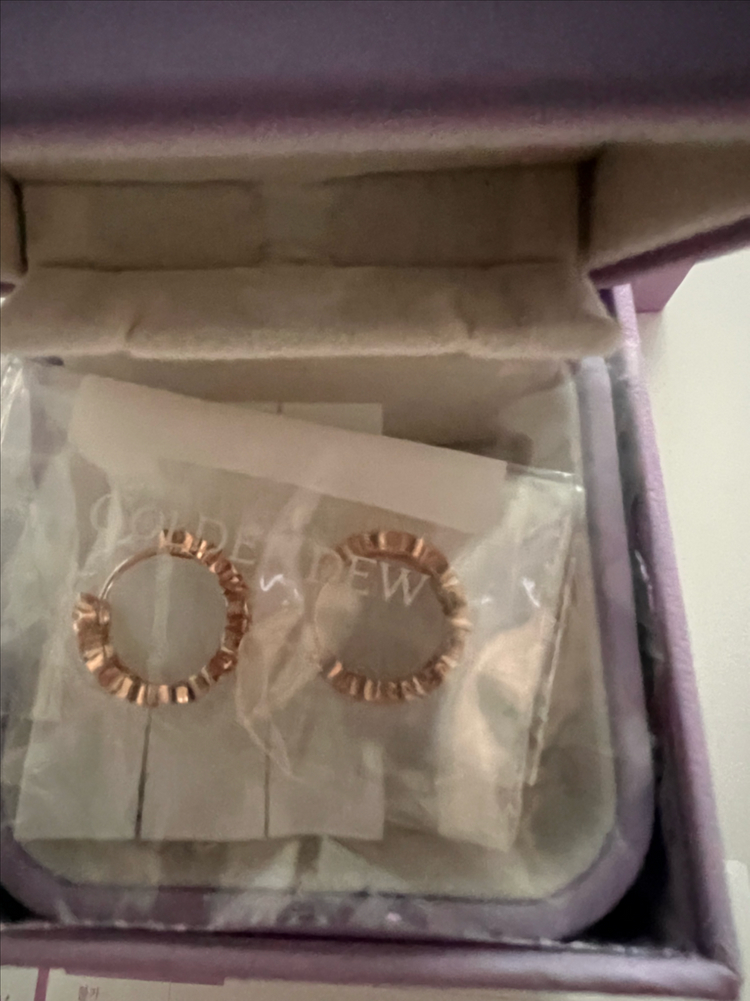 골든듀 듀이터널스 귀걸이 이미지