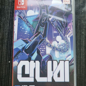 산나비 닌텐도 칩 이미지