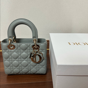 디올 레이디백 스몰 스톤그레이 이미지