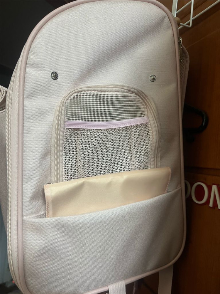 강아지 이동가방 백팩 핑크 이미지